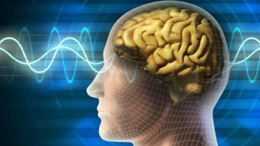 Epilepsi Cerrahisi