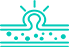 VASKÜLER